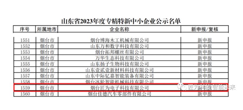 匠为科技被山东省认定为